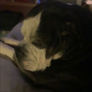 Meet your Posher, Joe